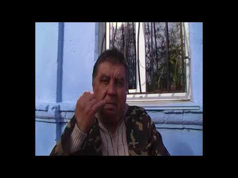 Видео: Николаевские голуби. Ярмарка г.Вознесенск (3)ч. 04.11.2017.