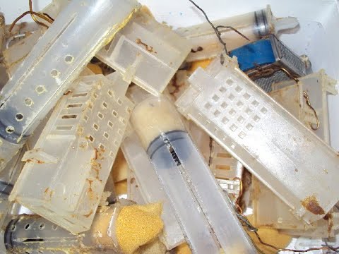 Видео: Подсадка матки с помощью шприца и в целом о способе.mp4