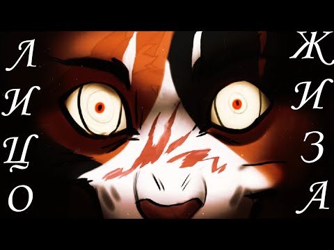 Видео: Лицо - Коты Воители - Клип