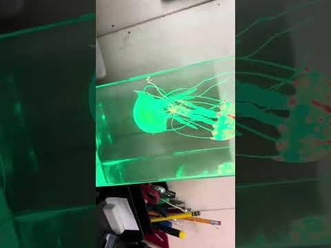 Видео: 24 октября 2025 г.