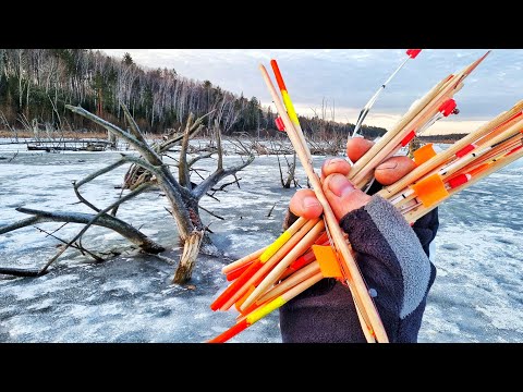 Видео: НАД НИМИ СМЕЯЛИСЬ, А ПОТОМ ОБОМЛЕЛИ! СТРАШНАЯ РЫБА, СТРАННЫЕ УДОЧКИ и САМЫЕ МИЛЫЕ РЫБАКИ СИБИРИИ )