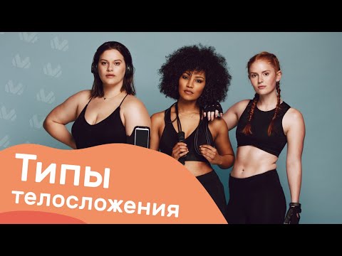 Видео: Типы телосложения. Эндоморфы, мезоморфы и эктоморфы 🏋🏻‍♀️