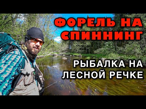 Видео: РЫБАЛКА РУЧЬЕВАЯ ФОРЕЛЬ НА СПИННИНГ НА ЛЕСНОЙ РЕЧКЕ - Поход на форелевую речку - Речная рыбалка
