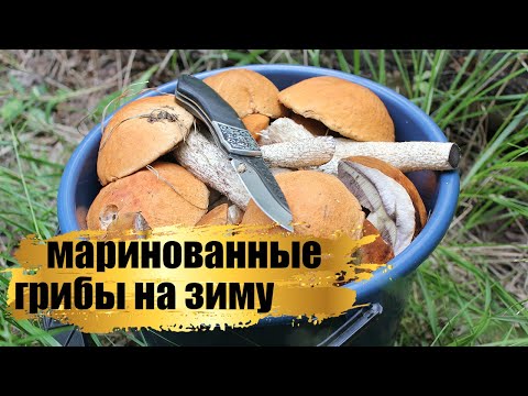 Видео: Маринованные подосиновики l красноголовики на зиму. Справится каждый. Простейший рецепт.