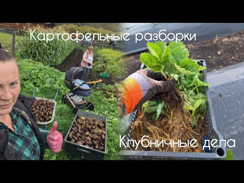 Видео: Осенние заботы. А кто сказал, что будет легко? Улыбаемся и пашем!