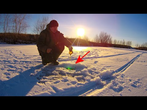 Видео: ОН ОТОРВАЛ ЛЕСКУ! РЫБАЛКА  в конце января 2023