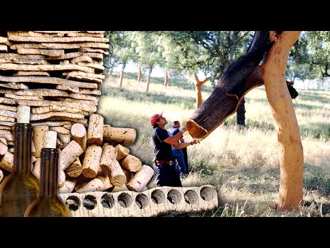 Видео: Пробка и ее превращение в пробки. Ручное извлечение ствола пробкового дуба