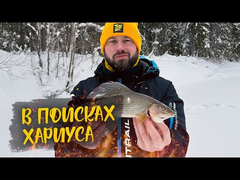 Видео: РЕШИЛИ СГОНЯТЬ ЗА ХАРИУСОМ И ПОЖАЛЕЛИ | ДВА ДНЯ В ТАЙГЕ С КОМФОРТОМ