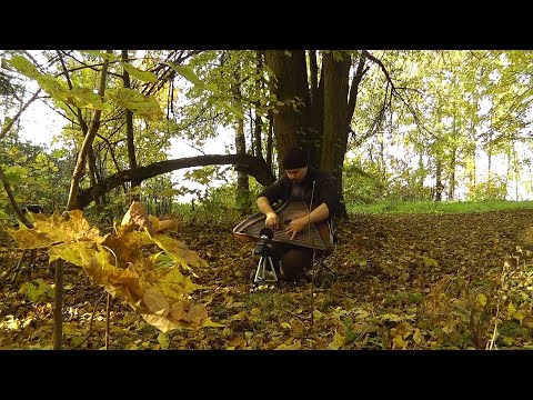 Видео: Воспоминания Музыка в осеннем лесу на Гуслях / Гусли - Гусляр Андрей Андреев