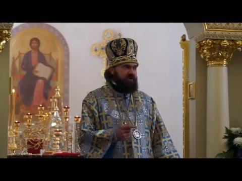 Видео: О повседневном безумии