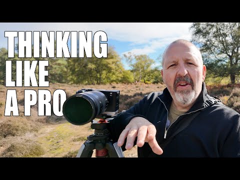 Видео: Изменение способа съемки леса: творческий эксперимент