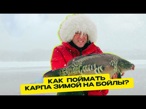 Видео: ЗИМНИЙ КАРПФИШИНГ: ❄️ Как положить карпу оснастку прямо под нос?