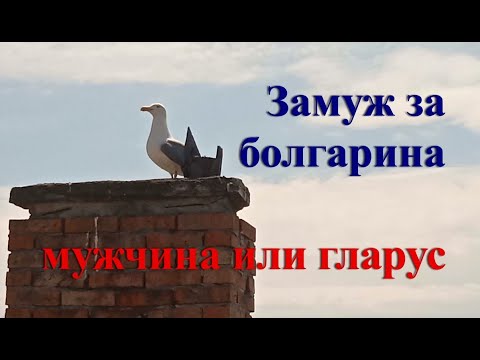 Видео: Замуж за болгарина, Особенности болгарских мужчин, Как ухаживают болгары, Как знакомятся в Болгарии
