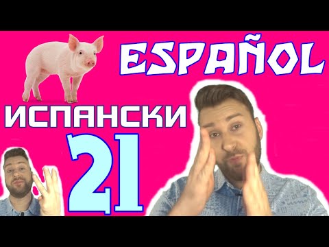 Видео: Научи испански с Alex клас 21 - Как да намерим нещо?, TENER + QUE - трябва да, el, la, los, las +que
