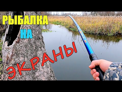 Видео: РЫБАЛКА НА ЭКРАНЫ. Ловлю и сразу ЖАРЮ РЫБУ НА КОСТРЕ.