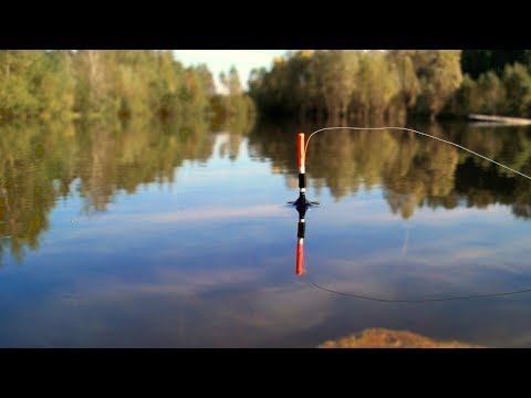 Видео: КАРАСЬ СОШЁЛ С УМА Ловля карася на удочку Летняя рыбалка СИБИРИЯ