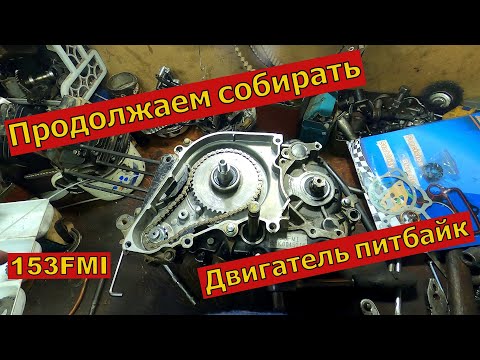 Видео: Сборка двигателя Питбайк 125  153FMI