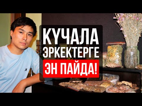 Видео: Күчаланын ден соолукка пайдасы