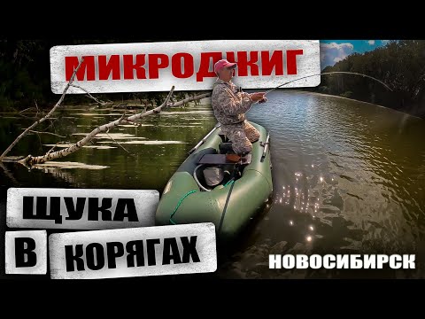 Видео: Ловля ЩУКИ на МИКРОДЖИГ в КОРЯГАХ / Рыбалка в НОВОСИБИРСКЕ.