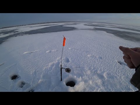 Видео: ЗИМНЯЯ РЫБАЛКА НА МИНСКОМ МОРЕ В ГЛУХОЗИМЬЕ. ИЗУЧАЕМ НОВЫЕ ЛОКАЦИИ В ПОИСКАХ ХОРОШЕГО УЛОВА)