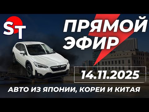Видео: ST ПРЯМОЙ ЭФИР 14 НОЯБРЯ 2025