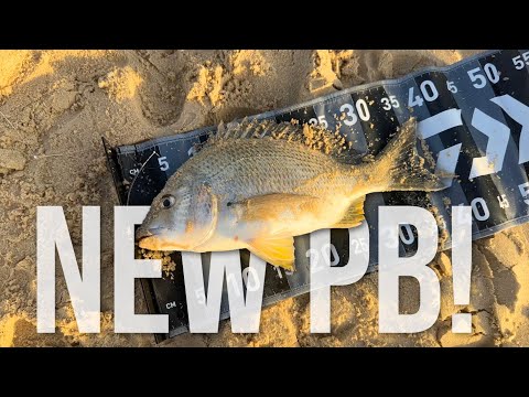 Видео: Рыбалка на пляже Ботани-Бэй — новый PB из песка!