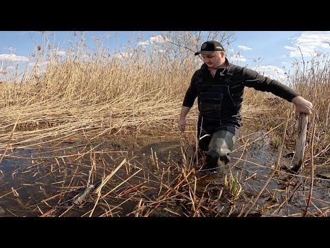 Видео: ❗️ЗАБРІВ У БОЛОТО❗️РИБАЛКА ПІД ЗАГРОЗОЮ ❗️Води більше чим очікували