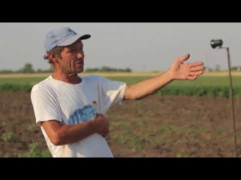 Видео: Отзыв про отпугиватель птиц "Коршун" на бахче.