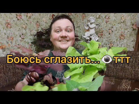 Видео: Всё просто ИДЕАЛЬНО!!!Не могу не рассказать!😊🍀👍