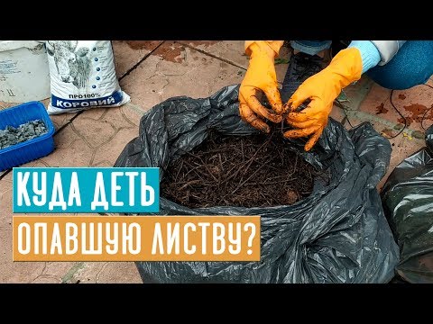 Видео: КОМПОСТ В МЕШКАХ 💥 Готовим качественный компост без хрущей / Садовый гид