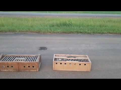 Видео: 03.06.2025 Княгинино- Новоульяновск 345/285 км