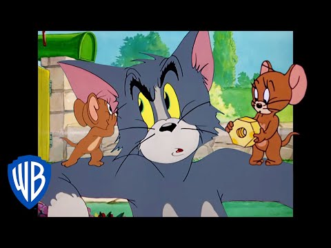 Видео: Том и Джерри | Как поймать мышку | WB Kids