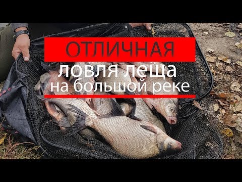 Видео: Отличная ловля леща на большой реке