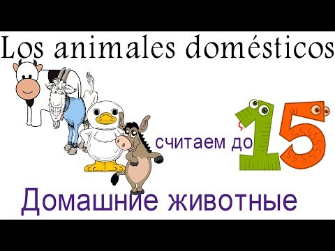 Видео: Испанский для детей.Считаем по испански до 15 -ти. Домашние животные по испански.