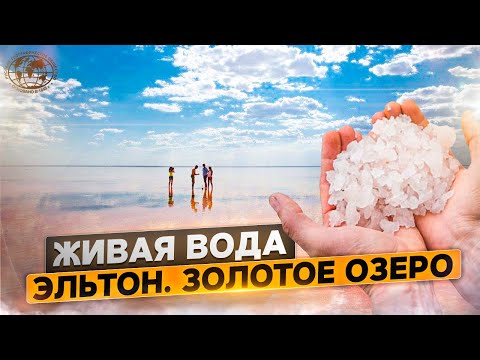 Видео: Живая вода. Эльтон. Золотое озеро | @rgo_films