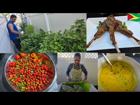 Видео: 🇬🇾Сбор перцев Вири-Вири из нашего сада, свежевыловленная тилапия из Флориды, баранья отбивная 🇬🇾