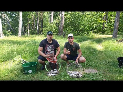 Видео: Рыбалка с ночевкой на Чигиринском водохранилище, вкусная кухня, отличный отдых.