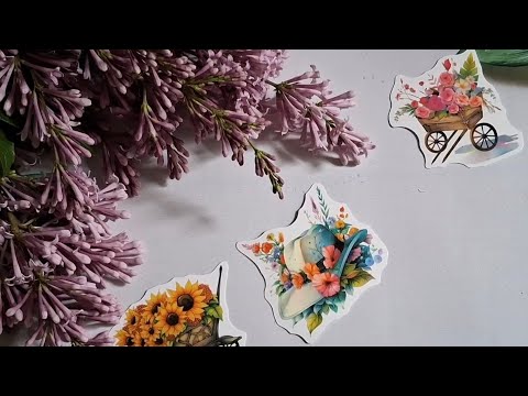 Видео: Много всего интересного