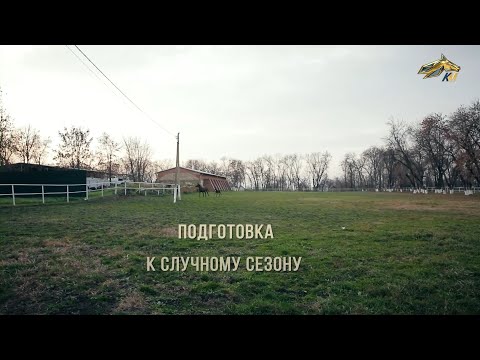 Видео: ПОДКОВА. 25 февраля 2023 года. 14:45
