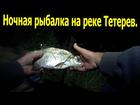 Видео: Ночная рыбалка на реке Тетерев.Лещ,Голавль и Елец.