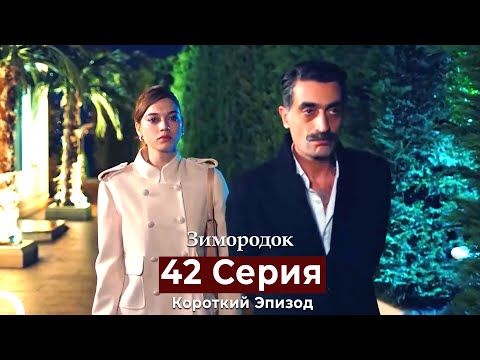 Видео: Зимородок 42 Cерия (Короткий Эпизод) (Русский дубляж)
