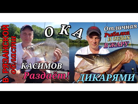 Видео: Рыбалка и отдых на оке дикарями в жару....неже касимова! река раздает!