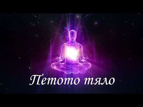 Видео: Петото тяло - лекция на Елеазар Хараш от 4.12.2007 г.