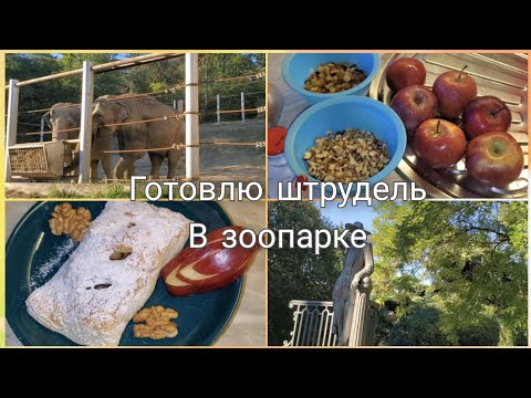 Видео: Готовлю штрудель/Гуляем в зоопарке