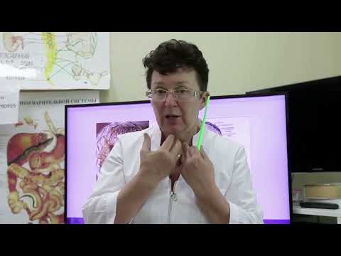 Видео: Что такое «беспокойный мозг» и как не допустить его появления. [Шишова О.И.]