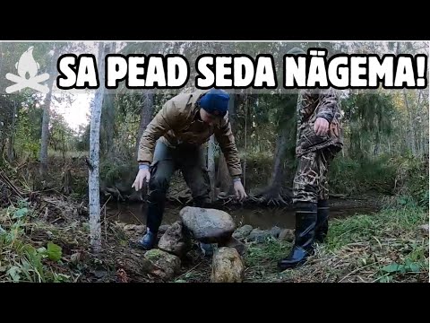 Видео: Необычная сауна в дикой природе — Построили сами, и это работает!