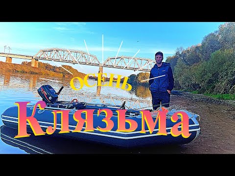 Видео: Осенняя рыбалка на Клязьме.  Джиг рулит.