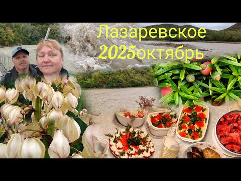 Видео: Лазаревское 2025//Сходили в гости//Утренняя прогулка к реке Псезуапсе