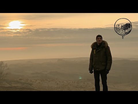 Видео: 11 быков дзен. 5-й бык. Уроки медитации. Серия 5