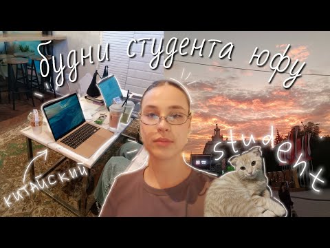 Видео: university diary: будни студента лингвистики юфу || китайский и английский